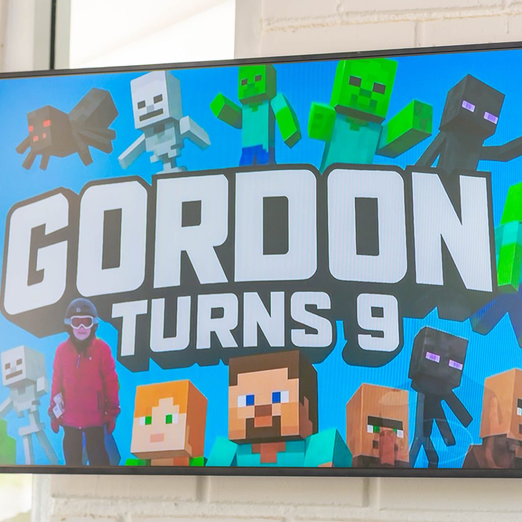 Gordons 9th Epic Birthday Party - Minecraft Theme